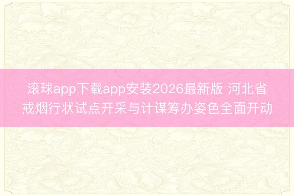 滚球app下载app安装2026最新版 河北省戒烟行状试点开采与计谋筹办姿色全面开动