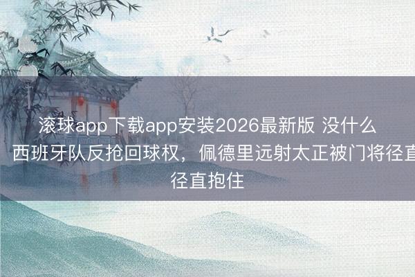 滚球app下载app安装2026最新版 没什么恐吓！西班牙队反抢回球权，佩德里远射太正被门将径直抱住
