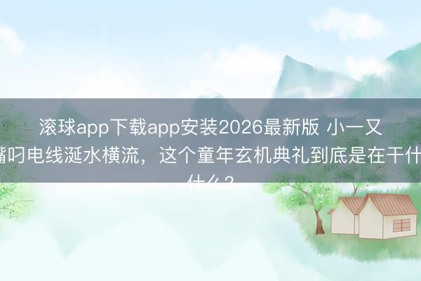 滚球app下载app安装2026最新版 小一又友嘴叼电线涎水横流,这个童年玄机典礼到底是在干什么?